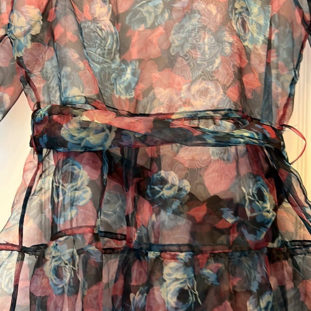 ZARA FLIRAL SHEER DRESS W/BELT - Picture 9 of 10